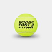 Fort-All-Court-Ball-image-800×880